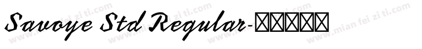 Savoye Std Regular字体转换